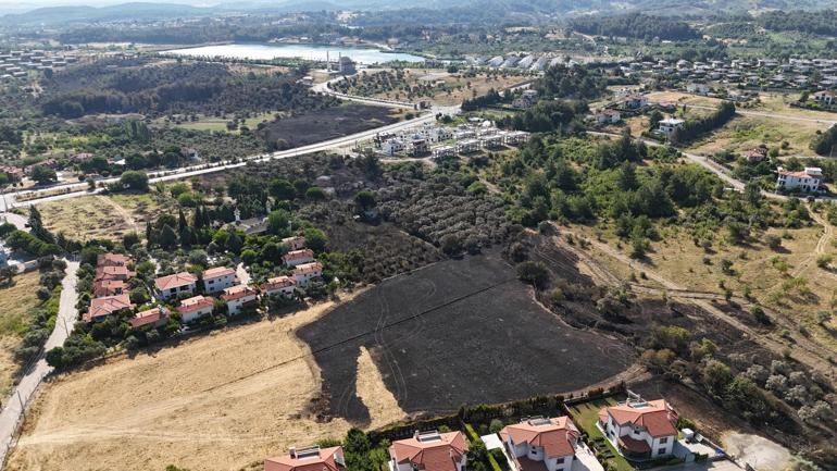 İzmirdeki yangın 4 saatte kontrol altına alındı, 15 hektar zeytinlik zarar gördü