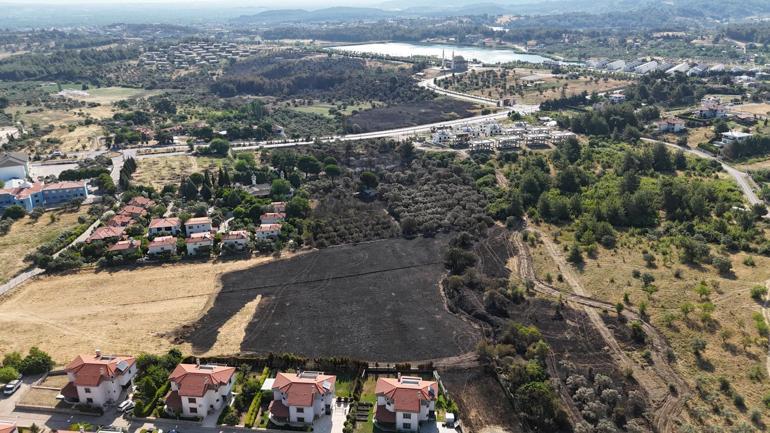 İzmirdeki yangın 4 saatte kontrol altına alındı, 15 hektar zeytinlik zarar gördü