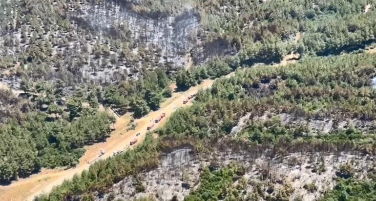 Bakan Yumaklı: Çanakkale- Eceabat yangını kontrol altına alındı