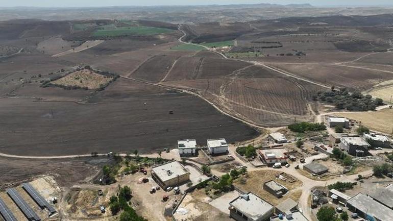 Diyarbakır- Mardin sınırındaki yangında amca koyunlarını, yeğeni de amcasını kurtarmak isterken ölmüş