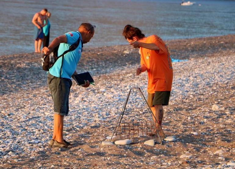 Çıralıda deniz kaplumbağası yuva sayısı geçen yılı aştı; 30 yılın rekoru bekleniyor