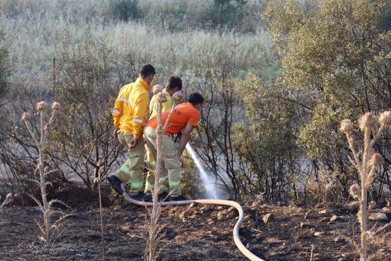 Manisa’da orman yangınında 3 hektar alan tahrip oldu