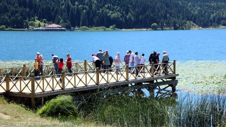 Bolu’da, ormanlara giriş ile milli park ve tabiat parklarında mangal yakmak 1 Temmuzdan itibaren yasak