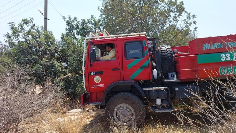 Aşırı sıcakta ateşsiz piknik önerisi