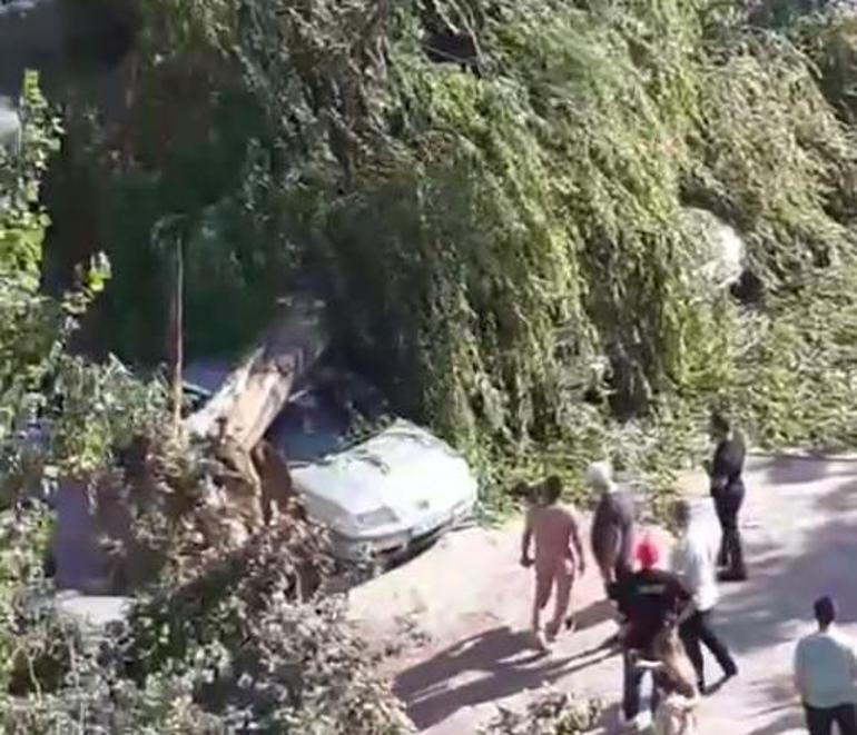 Ankarada kuvvetli rüzgar; ağaç devrildi, 4 araç hasar gördü