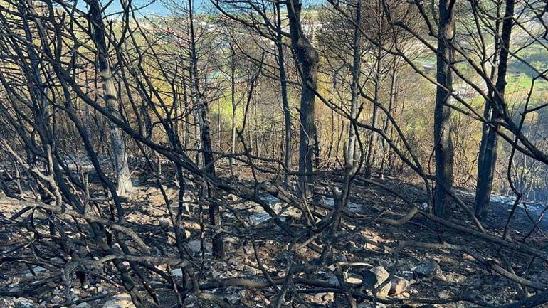 İzmirdeki yangında yanan alanlar, havadan görüntülendi