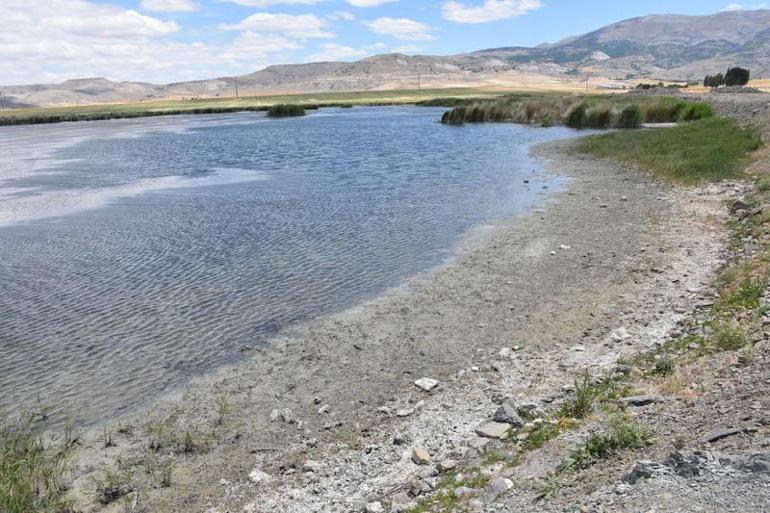 Ulaş Gölünde su seviyesi azaldı; Doğal habitat bozuluyor uyarısı