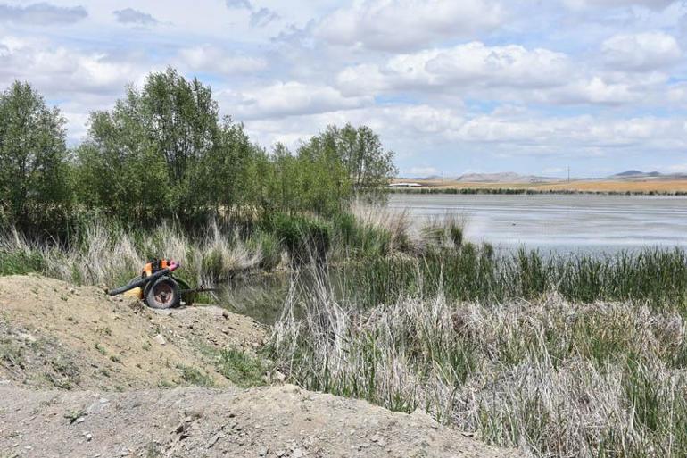 Ulaş Gölünde su seviyesi azaldı; Doğal habitat bozuluyor uyarısı