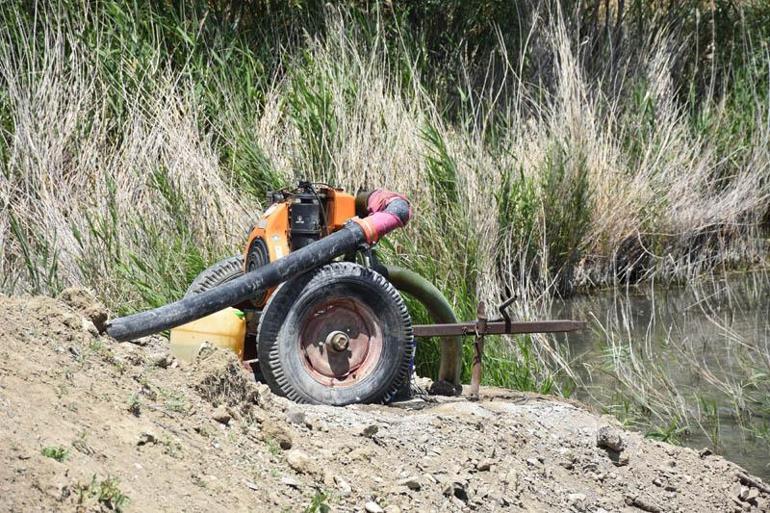 Ulaş Gölünde su seviyesi azaldı; Doğal habitat bozuluyor uyarısı