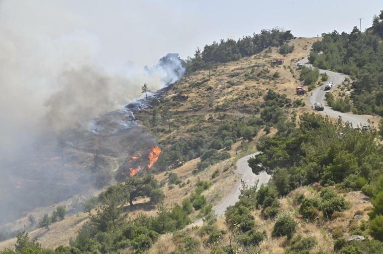 İzmirde orman yangını, 2 mahalle boşaltıldı