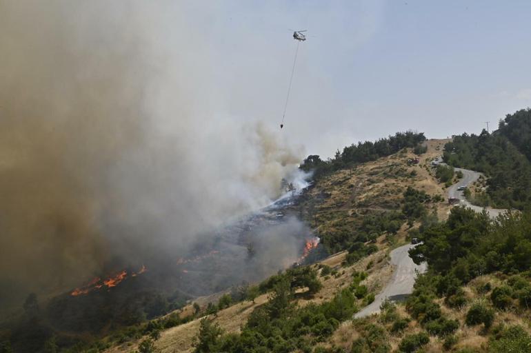 İzmirde orman yangını, 2 mahalle boşaltıldı