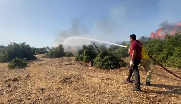 Kahramanmaraş’taki yangınlardan biri kontrol altında, diğeri sürüyor