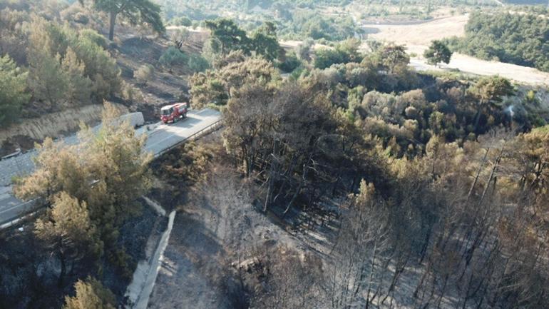 İzmirdeki orman yangını 21 saat sonra kontrol altında