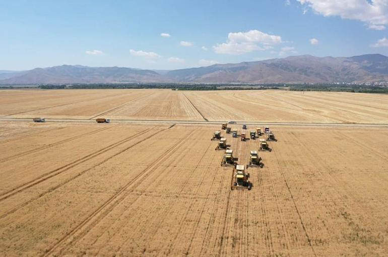 Türkiyede kişi başına 250 kilo buğday üretiliyor