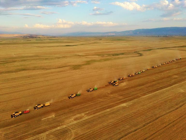 Türkiyede kişi başına 250 kilo buğday üretiliyor