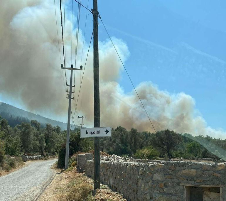 Bodrumda orman yangını