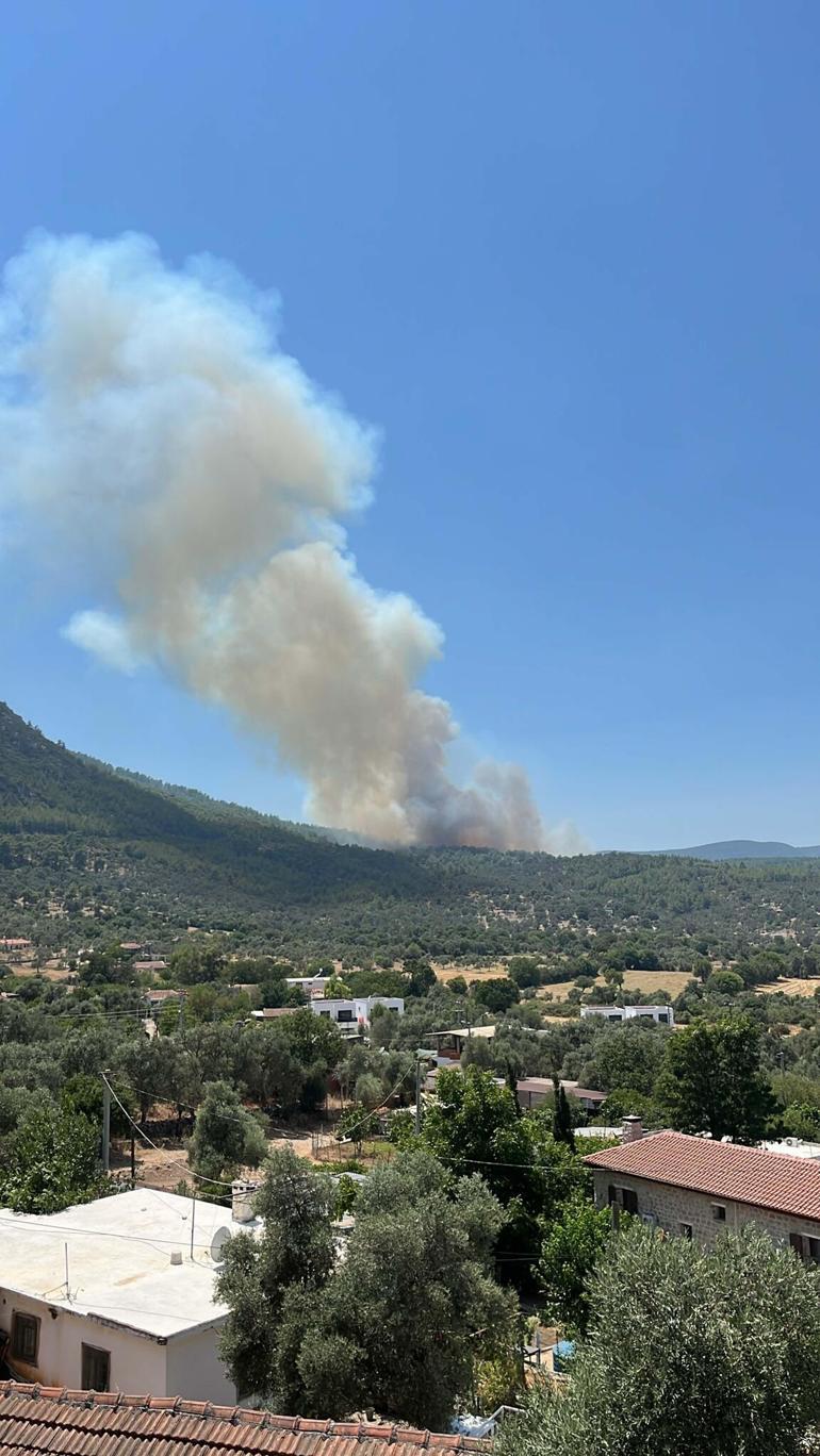 Bodrumda orman yangını