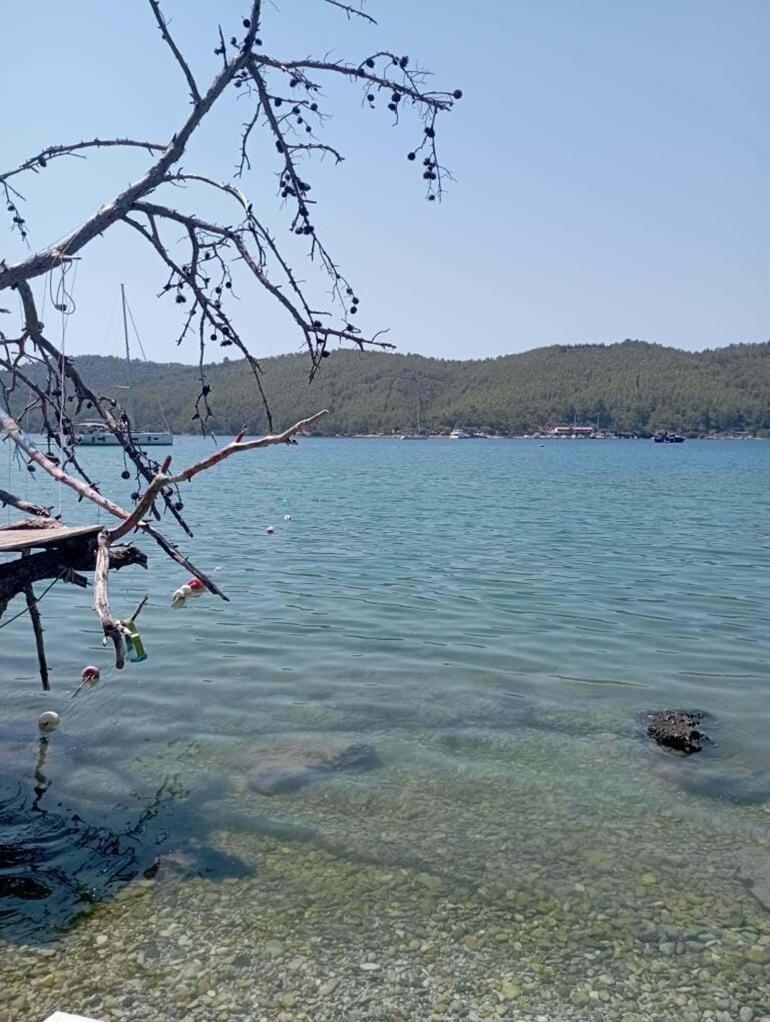 Dünyaca ünlü koya sintine atığı boşaltıldı iddiası