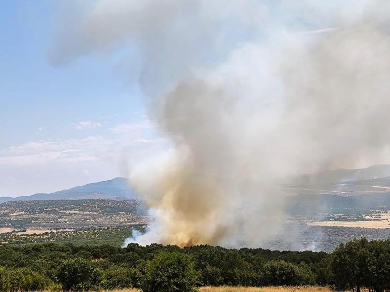 Diyarbakırda örtü yangını kontrol altında