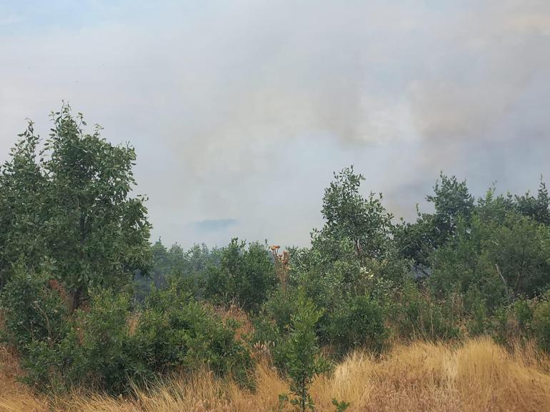 Diyarbakırda örtü yangını kontrol altında