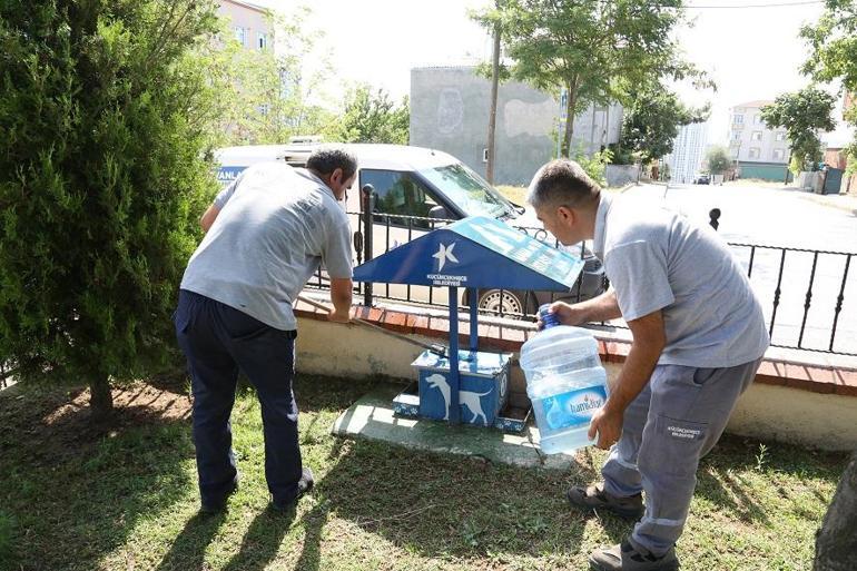 Küçükçekmecede sokak hayvanları aşırı sıcaklardan korunuyor