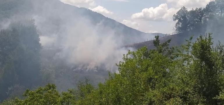 Bartında tarladaki anız ateşi ormana sıçradı