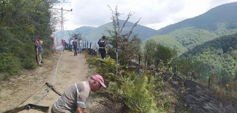 Bartında tarladaki anız ateşi ormana sıçradı
