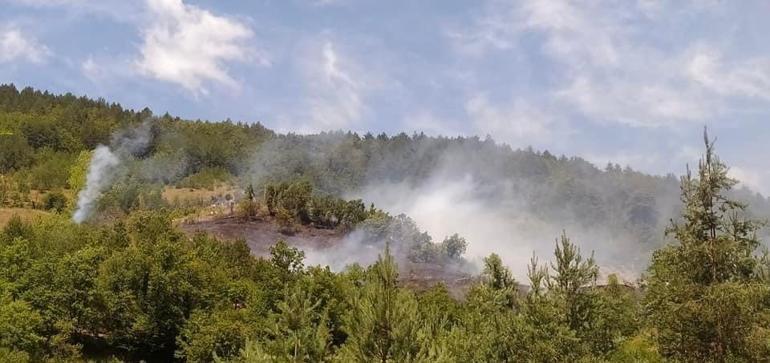 Bartında tarladaki anız ateşi ormana sıçradı