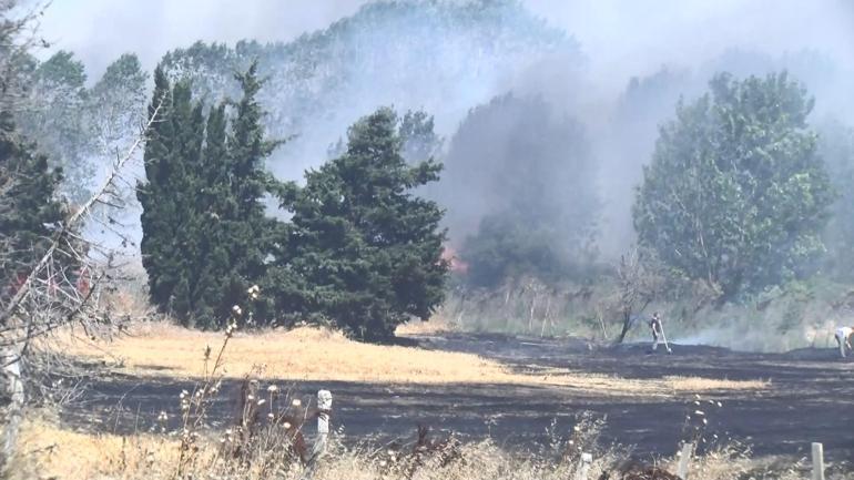 Silivri’de otluk alanda çıkan yangın kontrol altına alındı