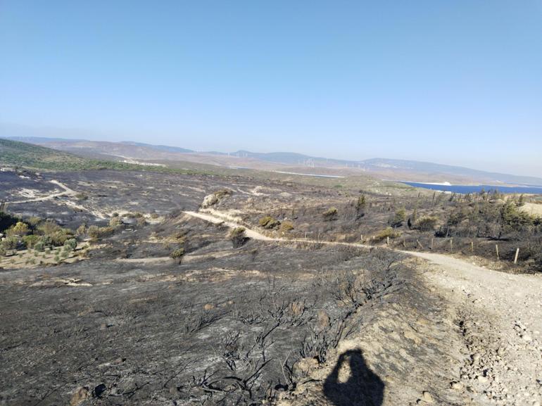 Çeşmede orman yangını; 3 kişi hayatını kaybetti