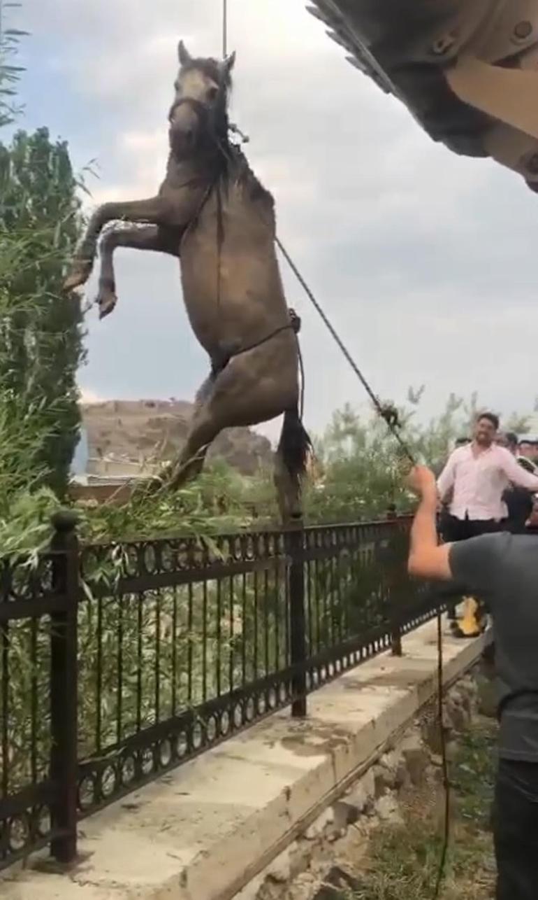 Oltu’da sel suları köprü yıktı, evleri su bastı