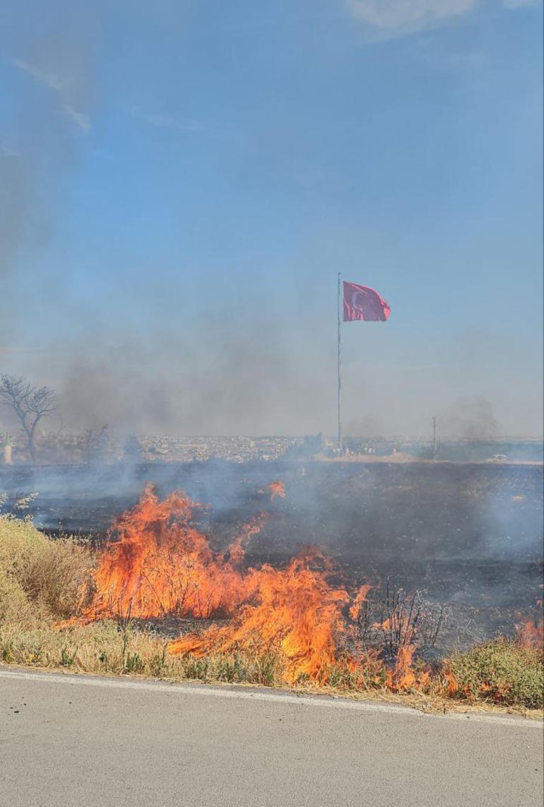 Edirnede anız yangını ağıla sıçradı