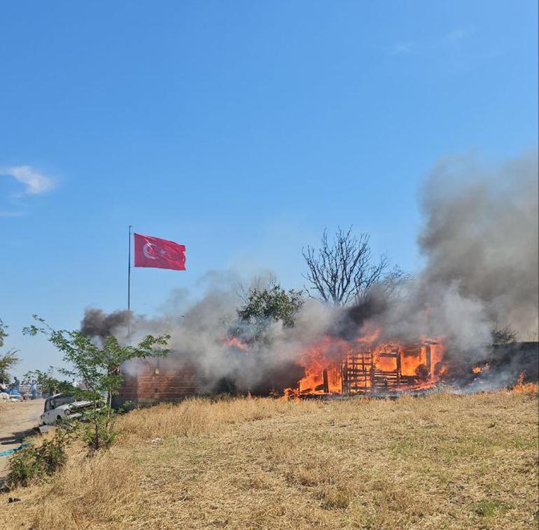 Edirnede anız yangını ağıla sıçradı