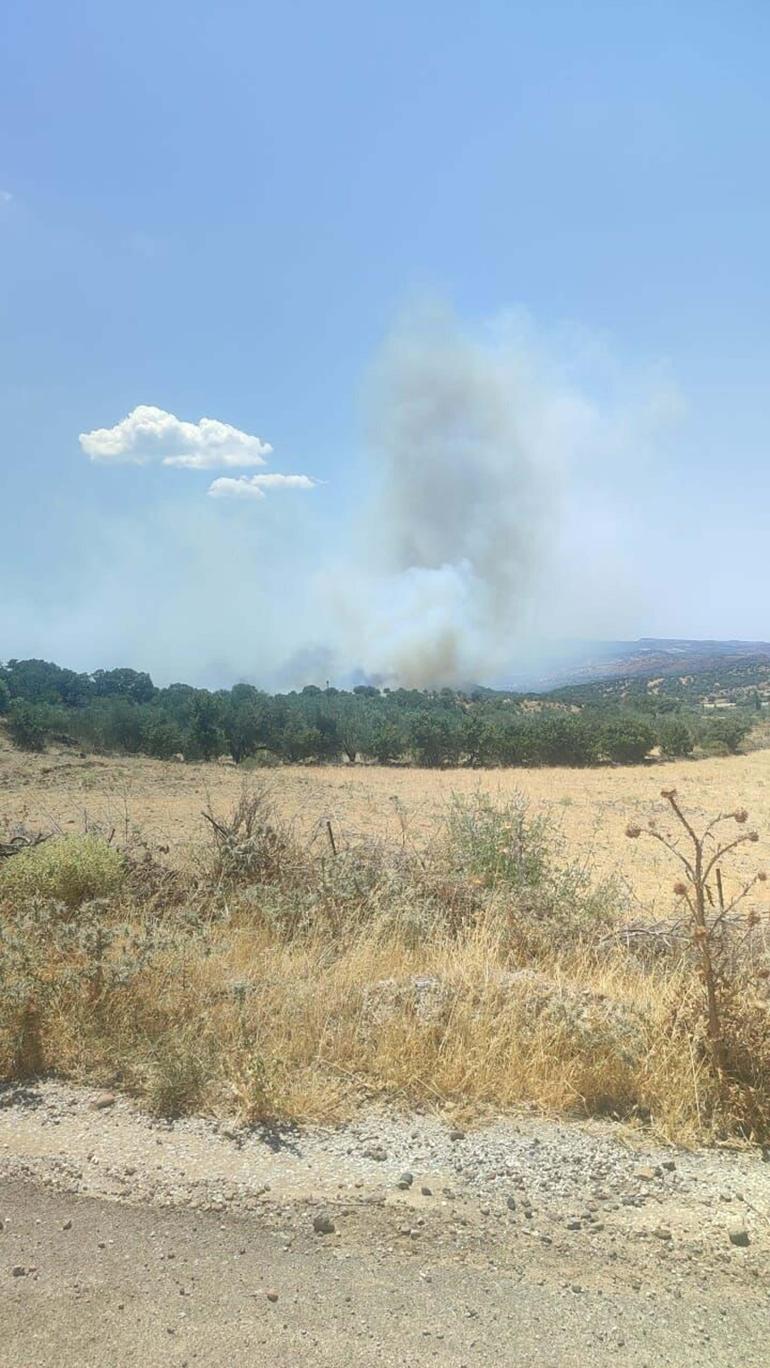 Çanakkalede tarım arazisinde yangın