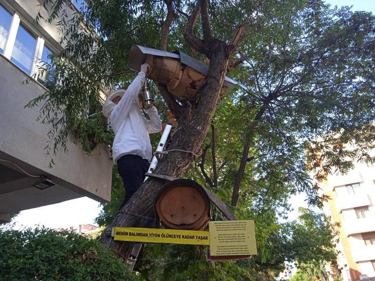 Kadıköyde teleferik sistemiyle topladığı balları vatandaşlara ikram etti