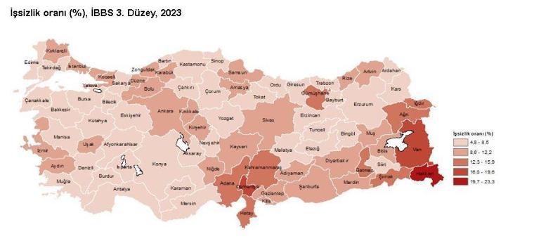 TÜİK: İşsizlik oranı en yüksek il Hakkari, en düşük il Sinop