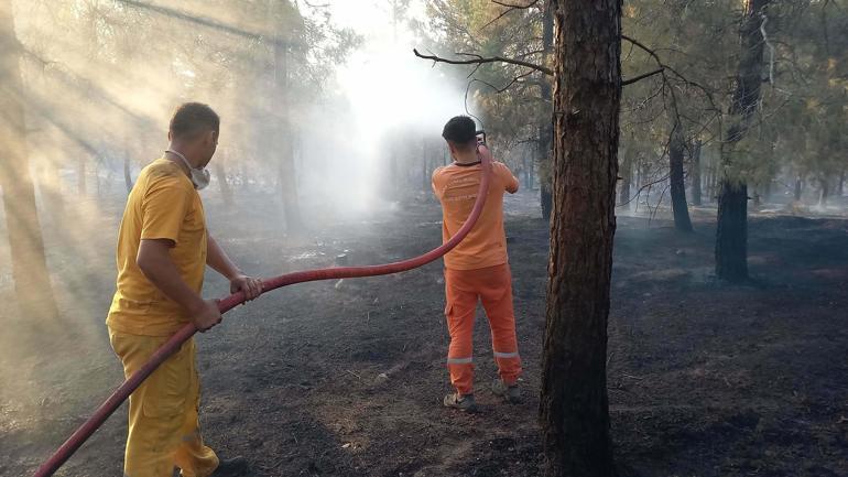 Balıkesirdeki orman yangını 2nci gününde kontrol altında