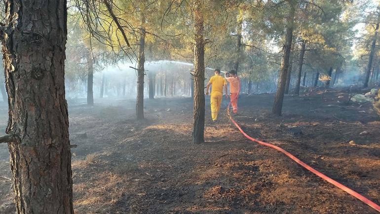 Balıkesirdeki orman yangını 2nci gününde kontrol altında