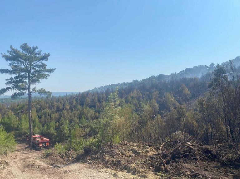 Çanakkale Ayvacıktaki orman yangını kontrol altında