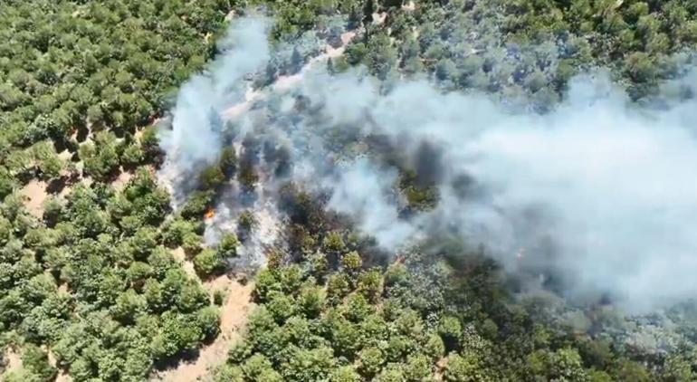 Bayramiçteki orman yangını 24 saat sonra kontrol altına alındı