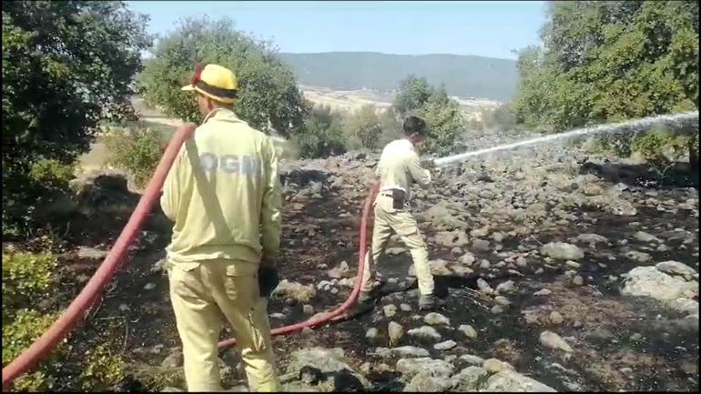 Kahramanmaraş’taki orman yangını kontrol altına alındı