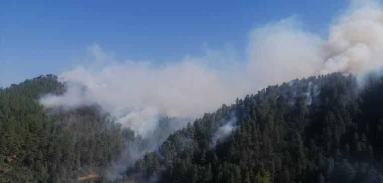 Kahramanmaraş’ta orman yangını; Fırnızdaki yangın devam ediyor, Kapıçamdaki kontrol altında