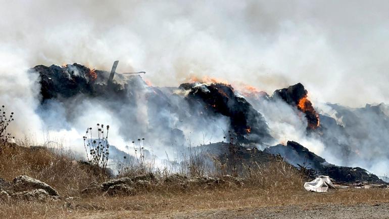 Tekirdağ’da iki ayrı piknik alanında yangın çıktı