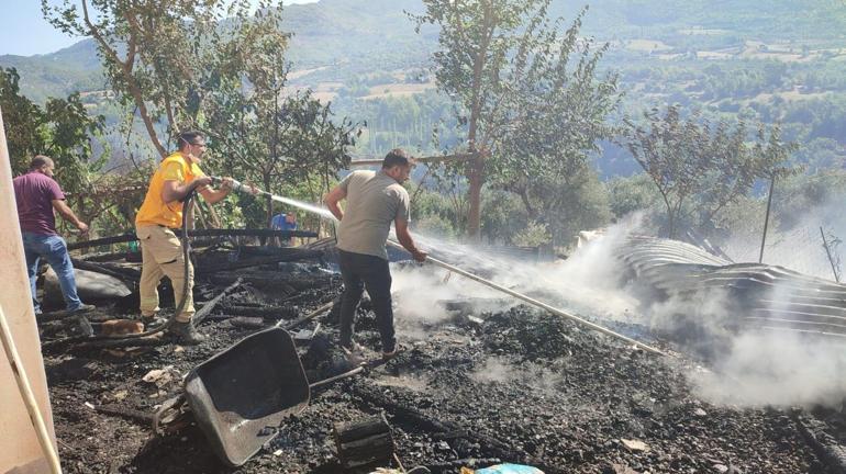 Adanada orman yangını; kontrol altında