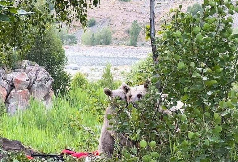 Göl kenarına pikniğe giden aile ayılarla karşılaştı; kurdukları sofrayı bırakıp kaçtılar