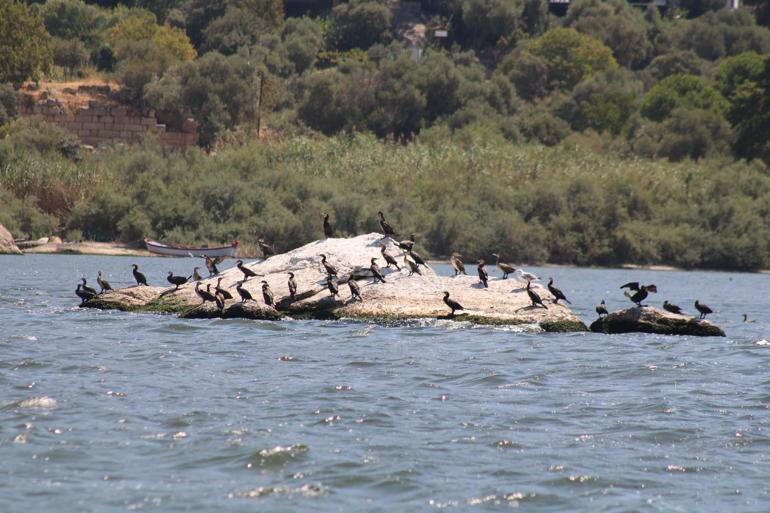 Bafa Gölünü jandarma timleri koruyor