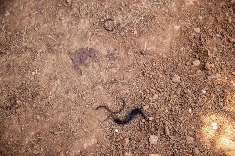 Sevgilisini ve oğlunu öldüren şüpheli, ceset için çuval almaya giderken yakalanmış