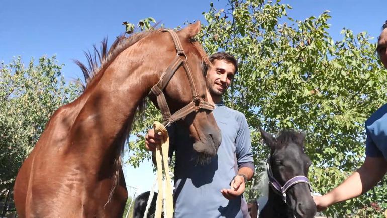 Biyolojik annesi Angora taşıyıcı annesi Ezo: Türkiyenin ilk tüp tayı Balat