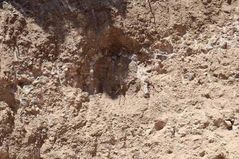 Amasya’da temel kazısında Roma dönemine ait 3 eski mezar bulundu