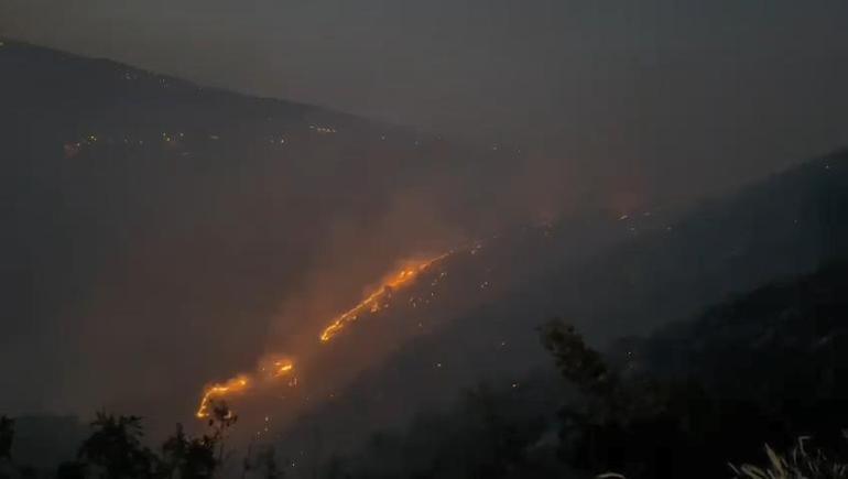 Bingölde orman yangını kontrol altına alındı